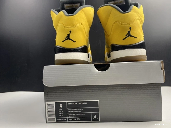 Chep Onekick Jordan 454783-701 Air Tokyo Retro 5 T23 0724